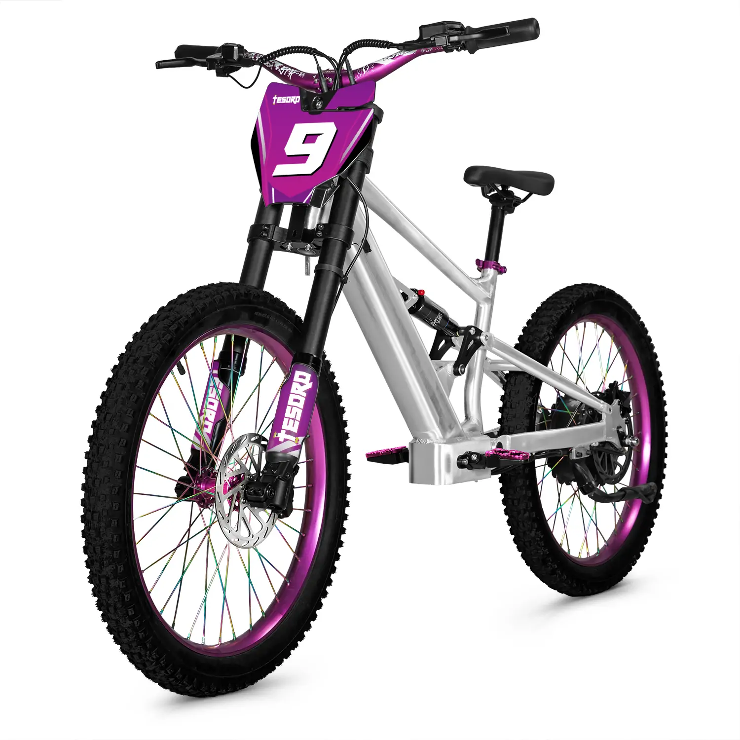 LME-BB6-24 Bicicletta a bilanciere da 24 pollici con batteria rimovibile